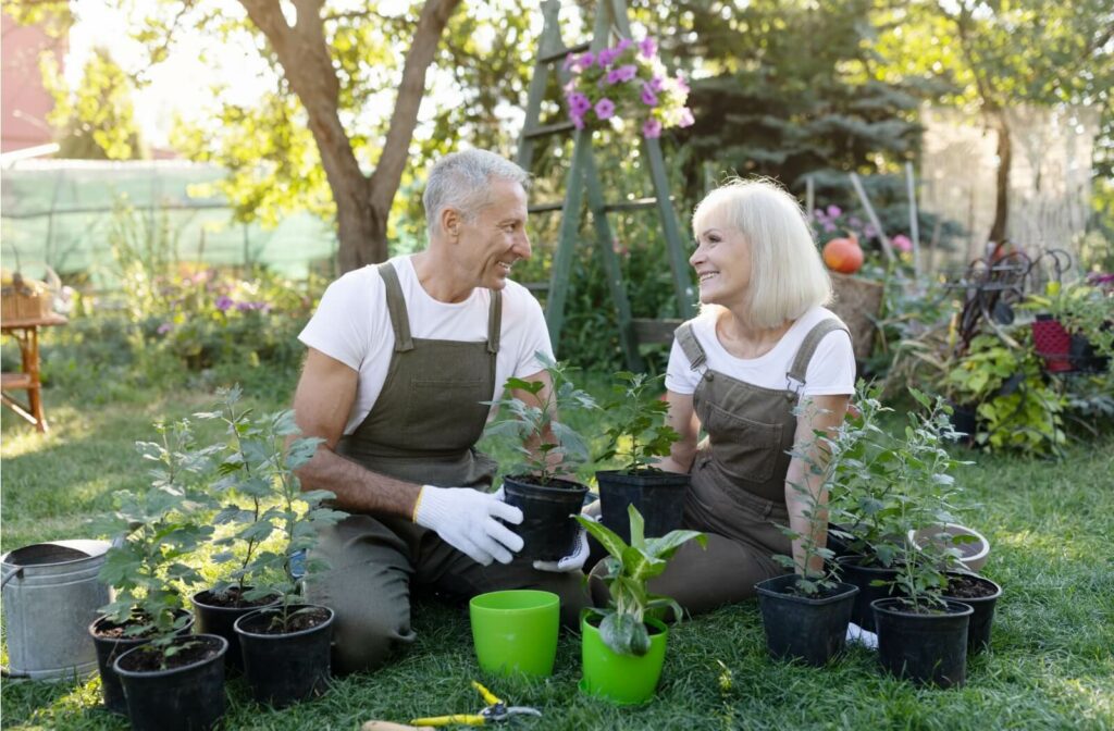 An older man and woman smiling and gardening outdoors together.